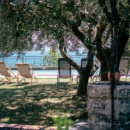 Pet Friendly In With Wifi