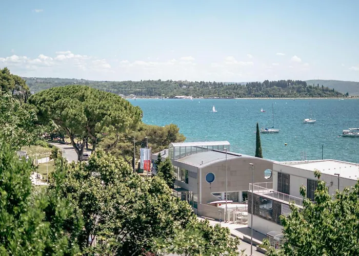 Pet Friendly In With Wifi 度假居