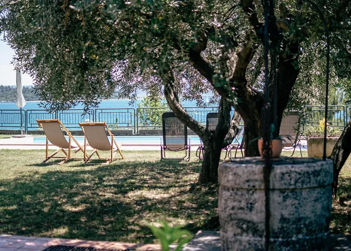 Pet Friendly In With Wifi